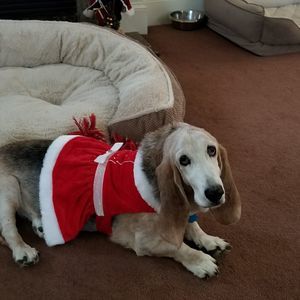 Meet your Posher, Debbie